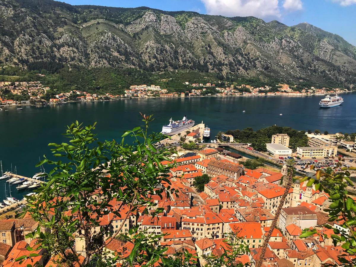 Daire Maritimo Kotor